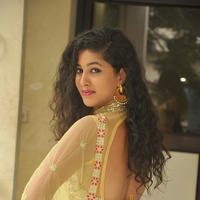 Pavani New Gallery | Picture 1361412