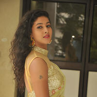 Pavani New Gallery | Picture 1361413