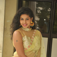Pavani New Gallery | Picture 1361416
