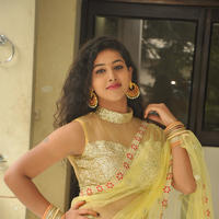 Pavani New Gallery | Picture 1361418