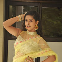 Pavani New Gallery | Picture 1361422