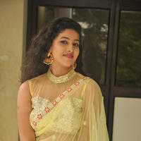 Pavani New Gallery | Picture 1361426