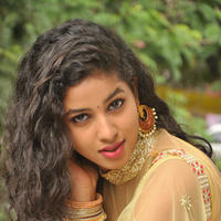 Pavani New Gallery | Picture 1361441