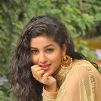 Pavani New Gallery | Picture 1361444