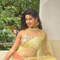 Pavani New Gallery | Picture 1361470