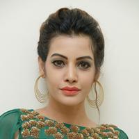 Diksha Panth New Gallery | Picture 1368594