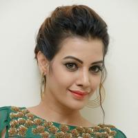Diksha Panth New Gallery | Picture 1368595