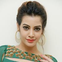 Diksha Panth New Gallery | Picture 1368598