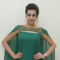 Diksha Panth New Gallery | Picture 1368603
