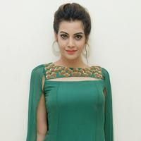 Diksha Panth New Gallery | Picture 1368615