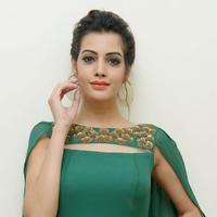 Diksha Panth New Gallery | Picture 1368616