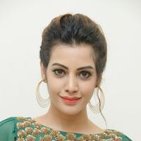 Diksha Panth New Gallery | Picture 1368624