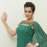 Diksha Panth New Gallery | Picture 1368636