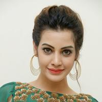 Diksha Panth New Gallery | Picture 1368638