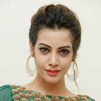 Diksha Panth New Gallery | Picture 1368643