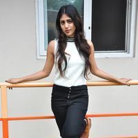 Chandini Chowdary New Stills | Picture 1329226