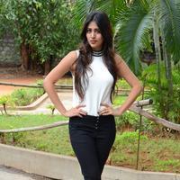 Chandini Chowdary New Stills | Picture 1329263