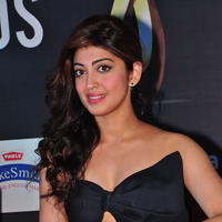 Pranitha at SIIMA 2016 Press Conference | Picture 1328716