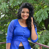 Gayathri New Stills | Picture 1331338