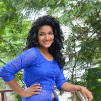 Gayathri New Stills | Picture 1331350