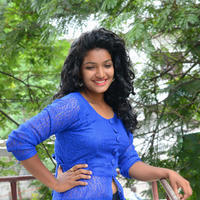 Gayathri New Stills | Picture 1331351