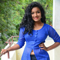 Gayathri New Stills | Picture 1331379