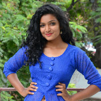 Gayathri New Stills | Picture 1331411