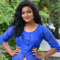 Gayathri New Stills | Picture 1331412