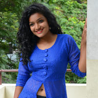 Gayathri New Stills | Picture 1331435