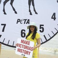 Adah Sharma at PETA Event | Picture 1332167