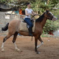 Tamannah Bhatia Learns Horse Riding for Baahubali 2. | Picture 1332416