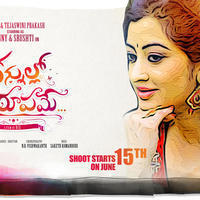 Kannullo Nee Roopame Movie Posters
