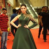 CineMAA Awards 2016 Red Carpet Photos | Picture 1334639