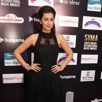 Nikki Galrani Photos | Picture 1340334