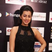 Nikki Galrani Photos | Picture 1340338