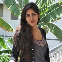 Chandini Chowdary New Gallery | Picture 1341118