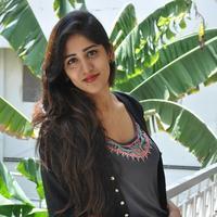 Chandini Chowdary New Gallery | Picture 1341124