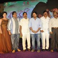 Nee Jathaleka Movie Audio Launch Photos | Picture 1345152