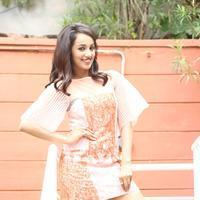 Rojulu Marayi Movie Interview Photos | Picture 1346314