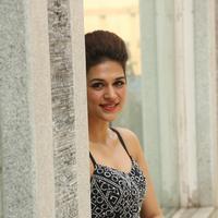 Shraddha Das New Gallery | Picture 1257239