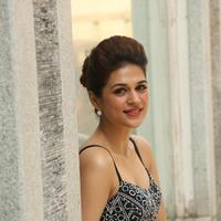 Shraddha Das New Gallery | Picture 1257240