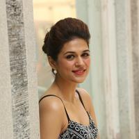 Shraddha Das New Gallery | Picture 1257242