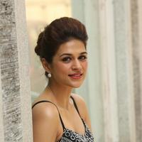 Shraddha Das New Gallery | Picture 1257243