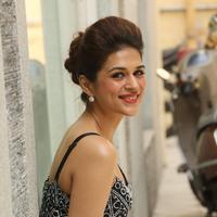 Shraddha Das New Gallery | Picture 1257246