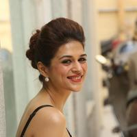 Shraddha Das New Gallery | Picture 1257248