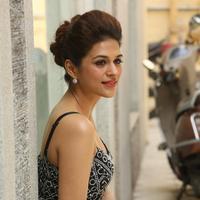 Shraddha Das New Gallery | Picture 1257251