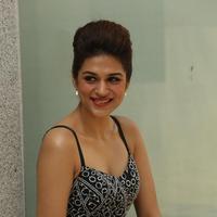 Shraddha Das New Gallery | Picture 1257252