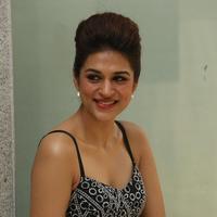 Shraddha Das New Gallery | Picture 1257255