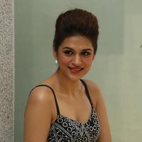 Shraddha Das New Gallery | Picture 1257259