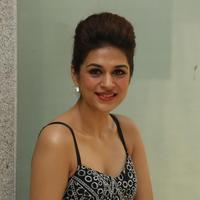 Shraddha Das New Gallery | Picture 1257261